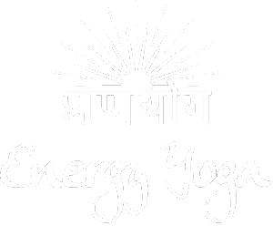 Energy logo white 2